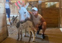 Nigerian dwarf goats and donkey