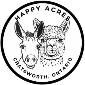 Happy Acres Donkey and Alpaca experience